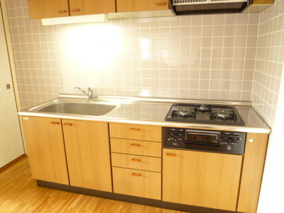 Kitchen. Dishes like the wife must see! System kitchen with a grill