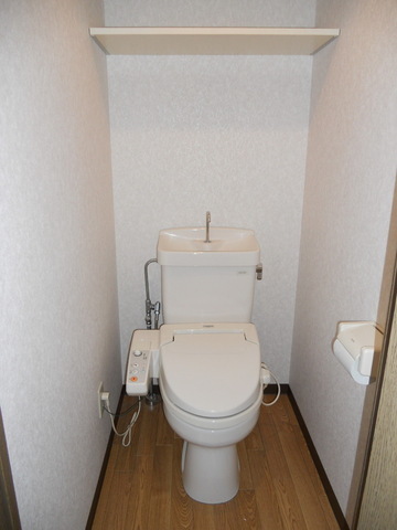 Toilet. Washlet toilet