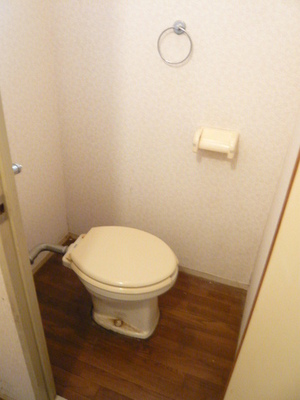 Toilet. It is another toilet and bath.