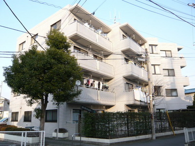 View. A quiet residential area