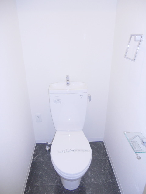 Toilet. Model photo