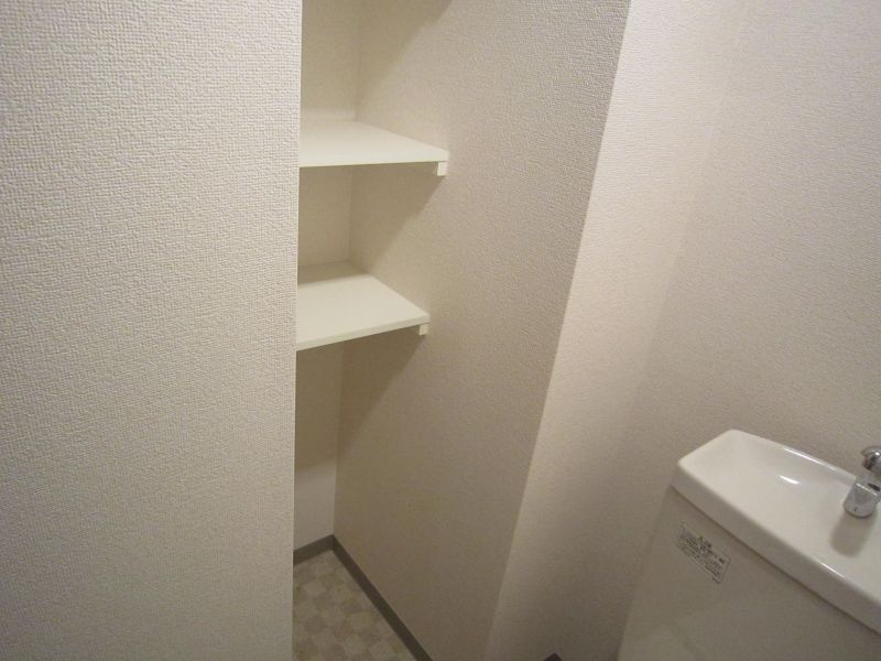 Toilet. Toilet shelf