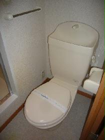 Toilet. Current state priority