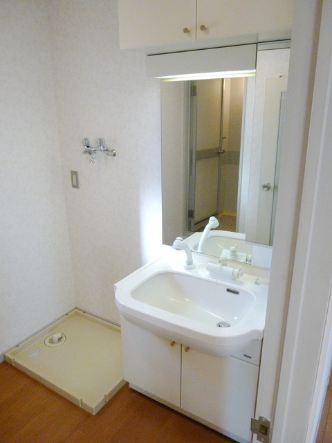 Washroom. Independent wash basin with hand shower