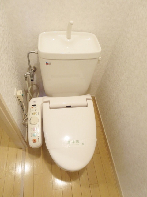 Toilet. Toilet