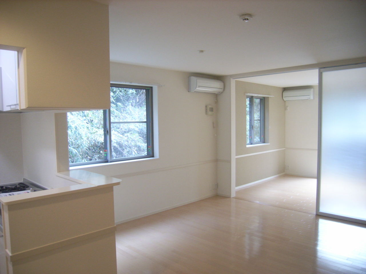 Living and room. Bright living room of the two-sided lighting