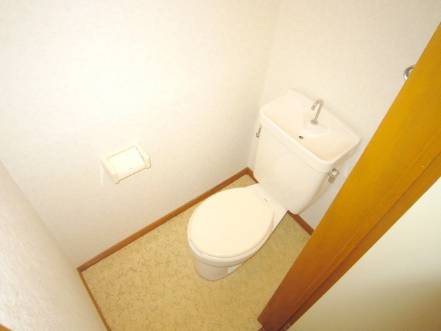 Toilet. It is a toilet with a clean