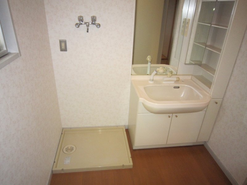 Washroom. Wash basin and washing machine Storage