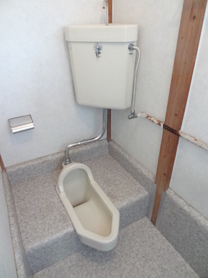 Toilet. I do not feel the feeling of pressure in the spacious space!