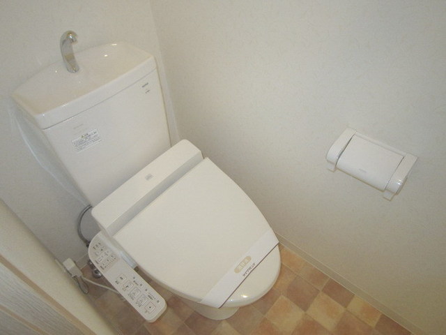 Toilet. Popularity of hot-water heating toilet seat
