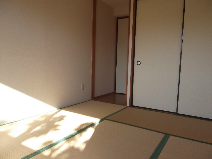 Other. Japanese style room