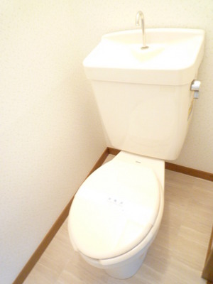 Toilet. Spacious toilet space