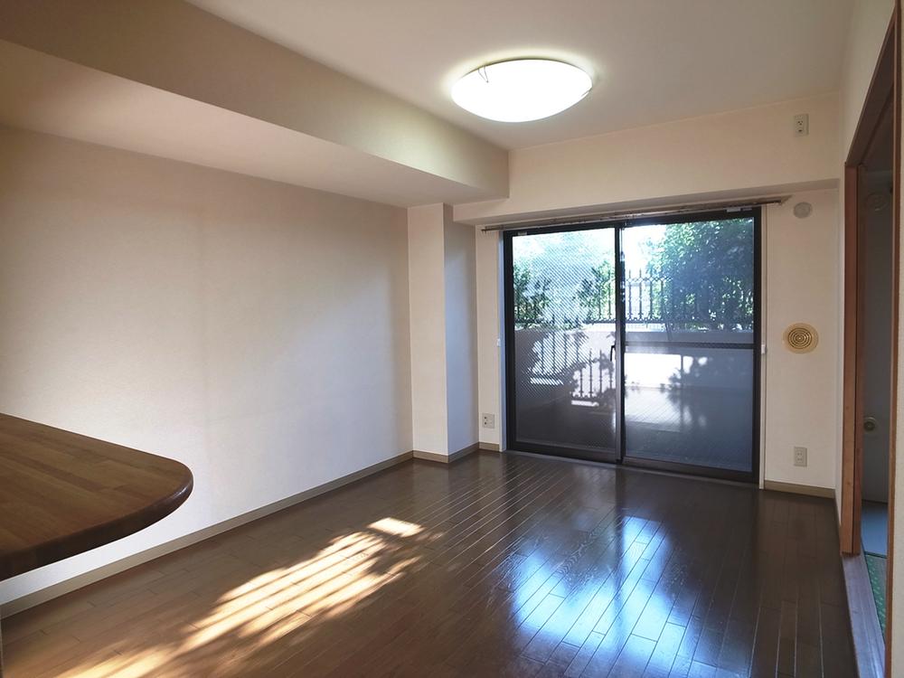 Living. Indoor (11 May 2013) Shooting