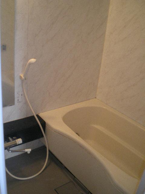 Bathroom. With bathroom dryer Otobasu.