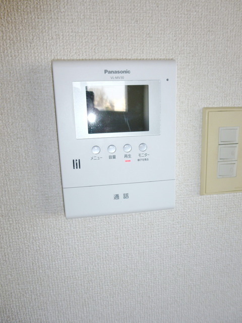 Security. Intercom with TV monitor