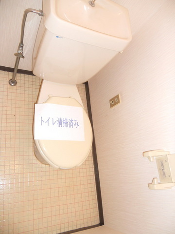 Toilet. Clean toilet ☆