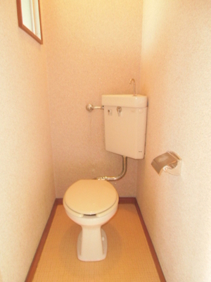 Toilet. Clean Western-style toilet