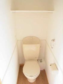 Toilet. Current state priority