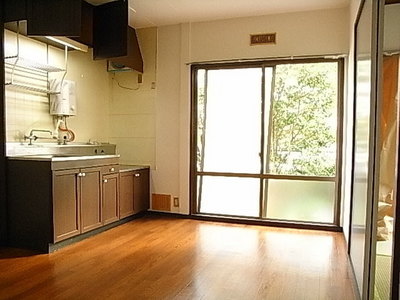 Living and room. Spacious kitchen space, 2-neck is a gas stove can be installed