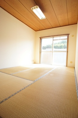 Living and room. Bright and spacious Japanese-style peaceful floor plan