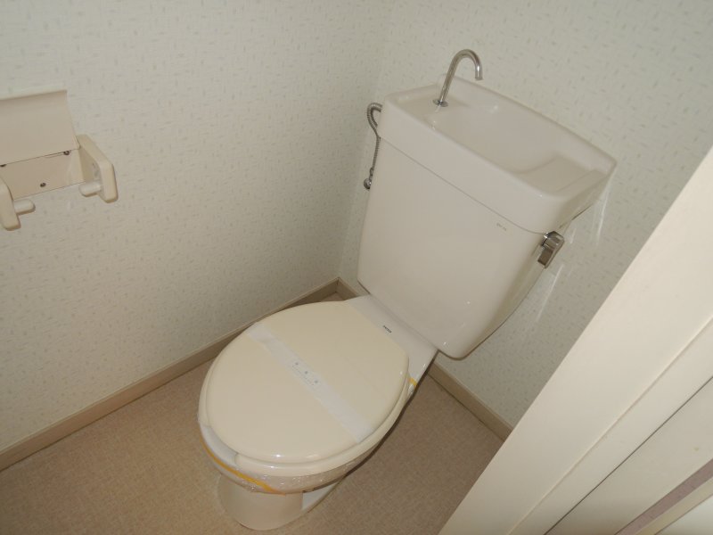 Toilet. Toilet