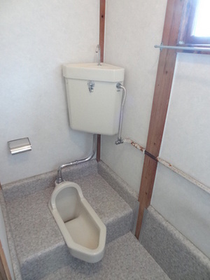 Toilet. I do not feel the feeling of pressure in the spacious space!