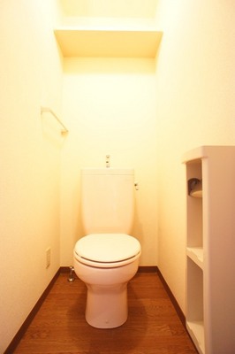 Toilet. Loose wide toilet space, There is also a top storage!