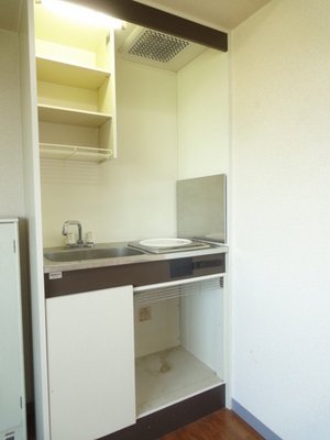 Kitchen. Single for a compact kitchen