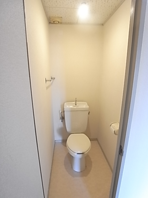 Toilet. Private toilet