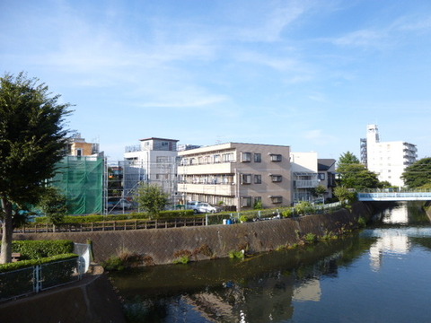 View. View from the entrance