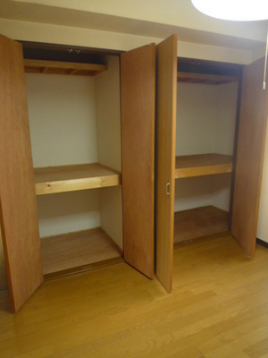 Other Equipment. Closet with depth! It organized a breeze to put even storage box