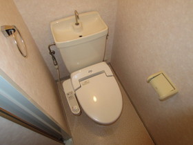 Toilet. Cleaning function with toilet seat