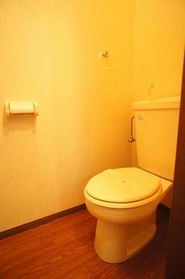 Toilet. For a spacious and comfortable, I do not want tightness!