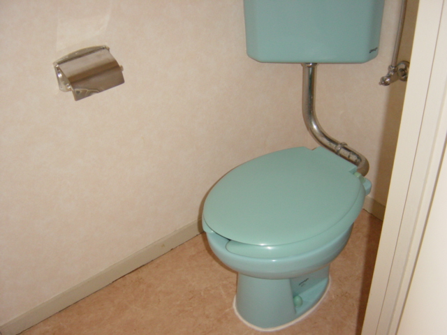 Toilet. Noborito real estate rental apartment security surface relief of the room