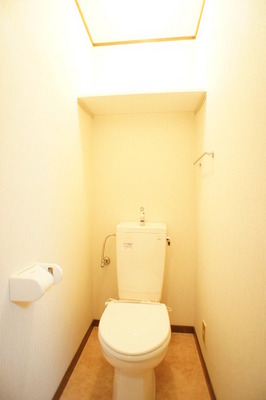 Toilet. Winter essentials! Not lose the cold with warm toilet function