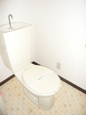 Toilet. Easy to clean with a clean restroom