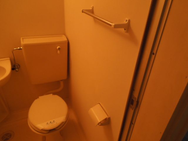 Toilet. The toilet of the horizontal comes with a towel rack.