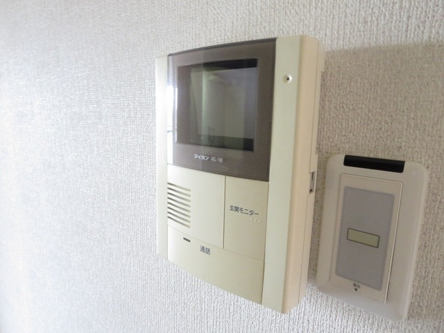 Security. Monitor with intercom