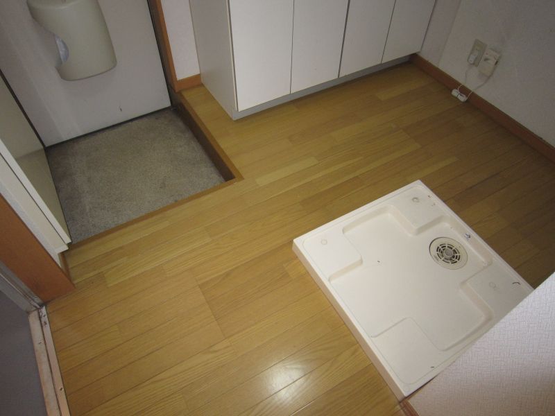 Other room space. Entrance and washing machine Storage