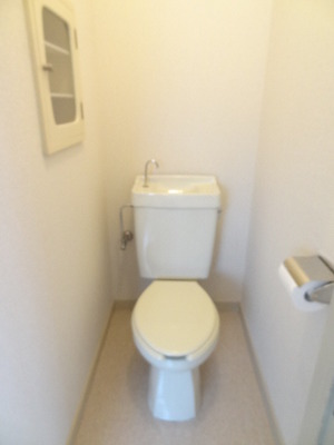 Toilet. Is I am happy there is also a storage space!