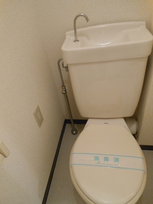 Toilet. Toilet