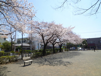 park. Noborito second park (park) up to 675m