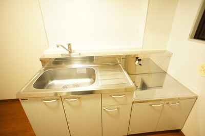 Kitchen. Is a convenient two-burner stove installation Allowed kitchen towards the self-catering school.