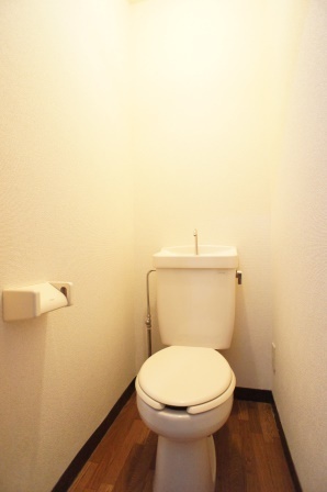 Toilet. Toilet space is also spacious and comfortable