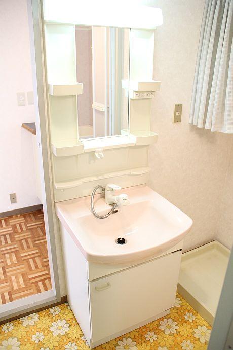 Wash basin, toilet. Functional wash basin