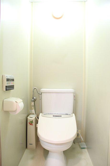 Toilet. If you open the door to open the toilet lid