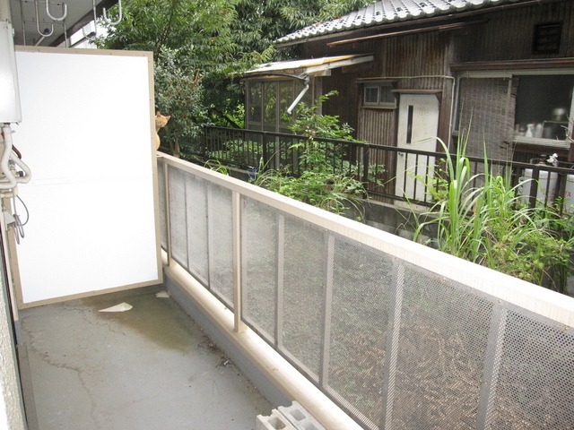 Balcony. Balconies