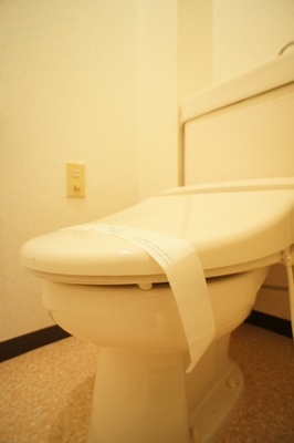 Toilet. Toilet with shower toilet ☆