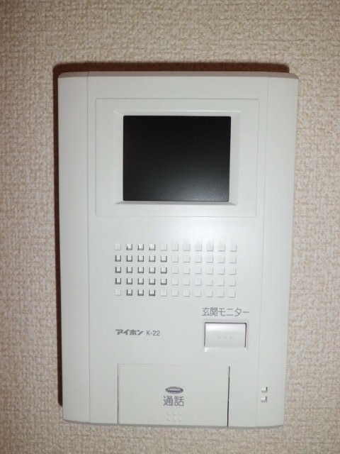 Security. TV monitor with intercom