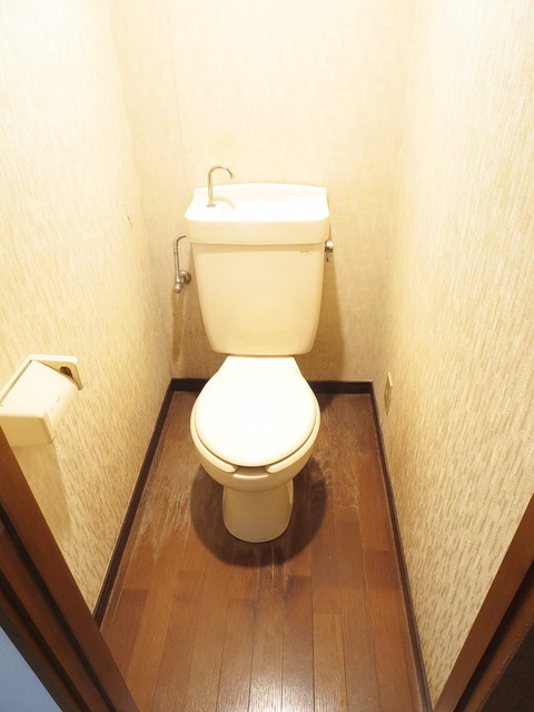 Toilet. Toilet